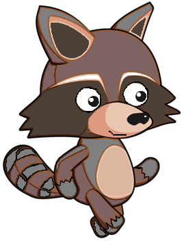 raccoon